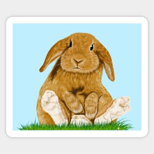 Bunny Sticker